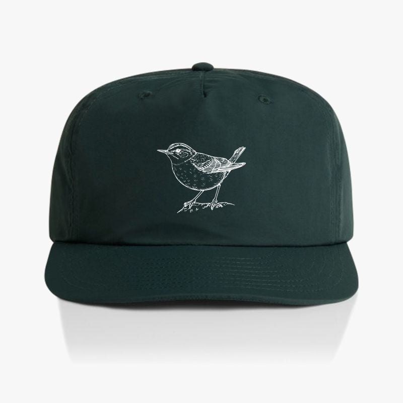 Carolina Wren Surf Cap